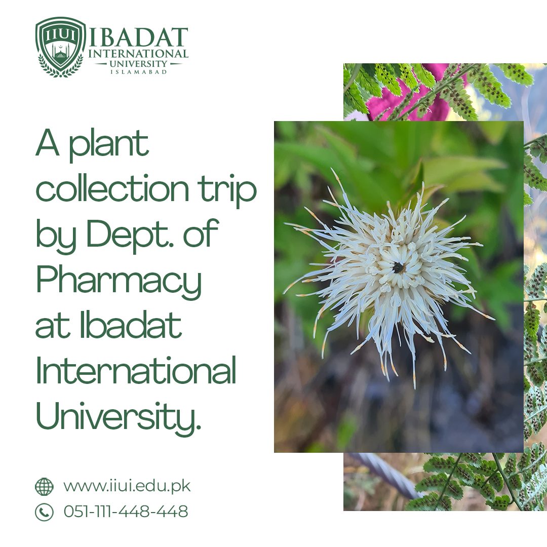 Plant Collection Trip by Dept of Pharmacy