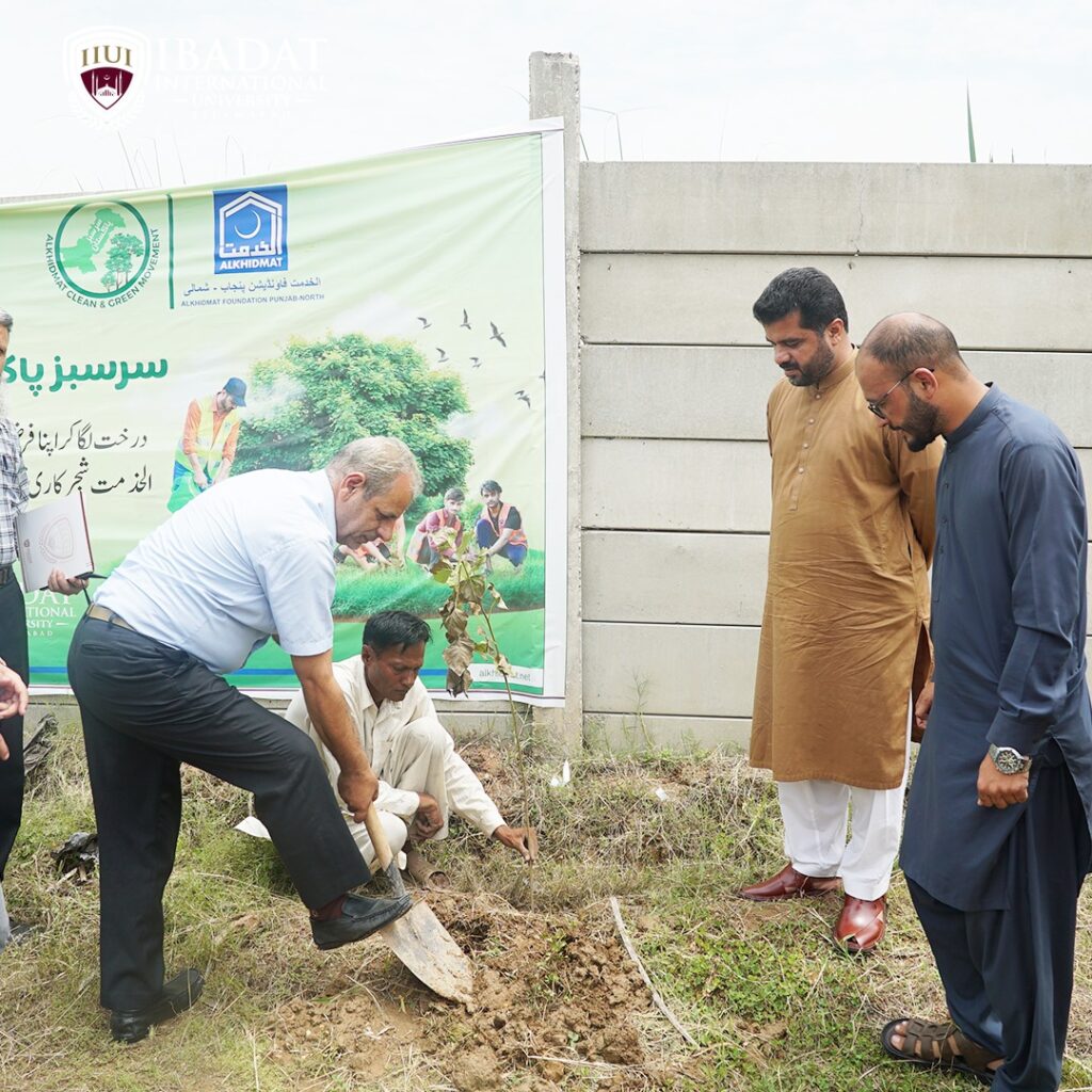 The Plantation Drive